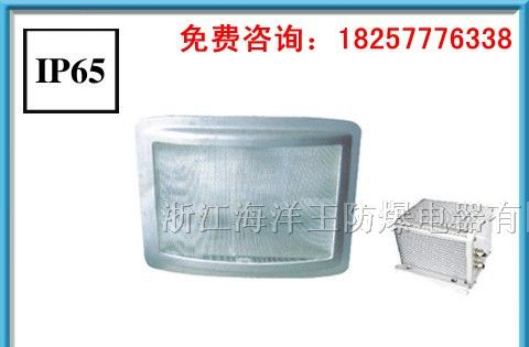 NSE9720防眩应急通路灯
