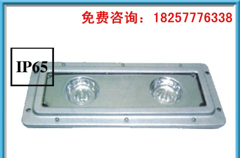 NFC9170S固态免维护顶灯