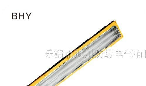 BHY洁净荧光灯 双管T8荧光灯