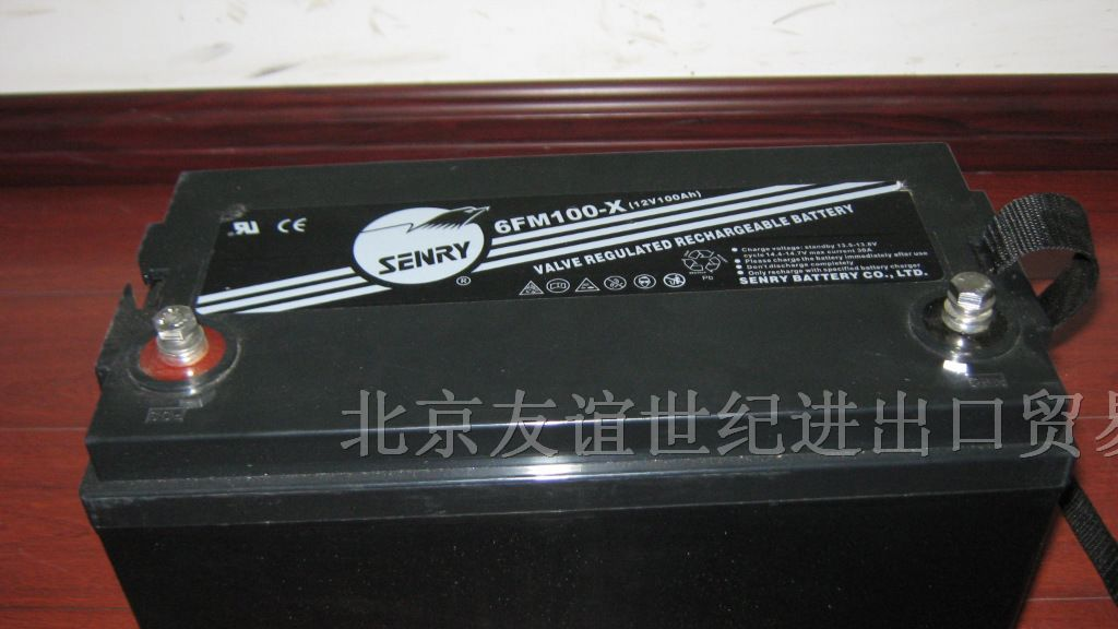 供应梅河口三瑞电池价格-三瑞（SENRY）6FM总代理
