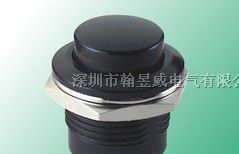 R13-507A新进/SCI按钮开关