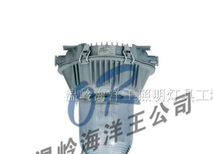 供应NFC9180 防眩泛光灯~NFC9180