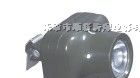 供应IW5110固态防爆头灯