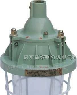 供应Bcd-200B隔爆型防爆灯,新黎明隔爆防爆灯