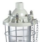 供应Bcd-100隔爆型防爆灯,隔爆型防爆照明灯