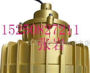 供应华宏防爆无极灯 节能高顶灯 免维护三防照明灯