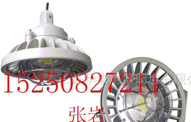 供应品牌防爆LED节能灯 高效品牌工业照明灯具