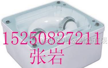 供应“高效油站灯”ZY8230低碳品牌LED照明灯