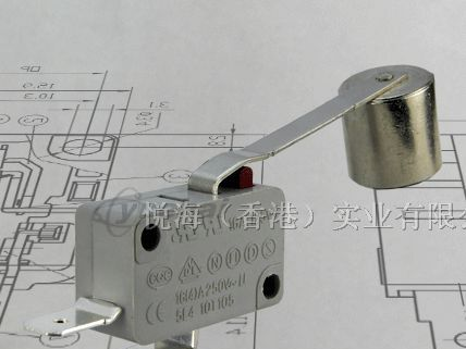 电暖器重锤微动开关16A 250VAC