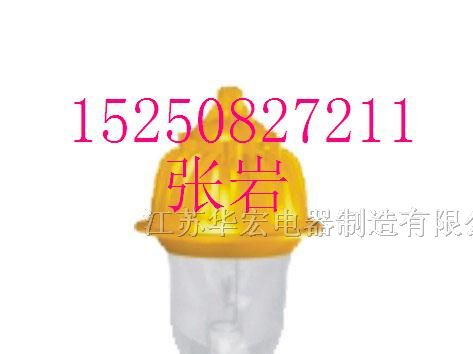 供应华宏牌防爆LED泛光灯BYC6218厂用节能金卤灯