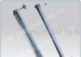 供应dyD1隔爆型防爆荧光灯