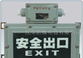 供应BAYD防爆标志灯