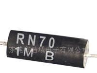 EE精密电阻,RN精密电阻,精密金属膜电阻