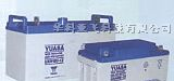 山东莱西汤浅蓄电池NP12-120AH代理商报价￥#￥#