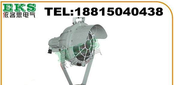 照明专家：BAT51-N400防爆投光灯|投光防爆灯
