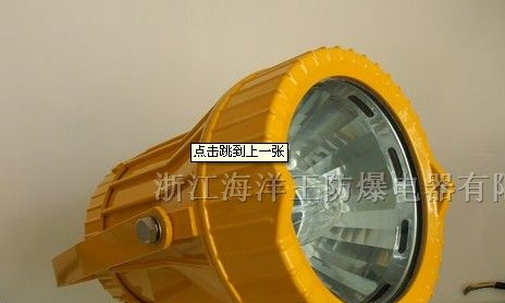 供应海洋王BTC8200\BTC8200）防爆投光灯全球热销
