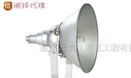 供应GT65防震投光灯
