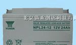 供应NP65-12汤浅蓄电池&12V65AH广东汤浅电池报价/