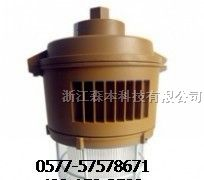 供应SBF6204三防灯图片三防灯价格led三防灯加工
