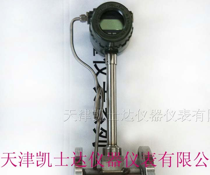 供应天津温压补偿一体化流量计