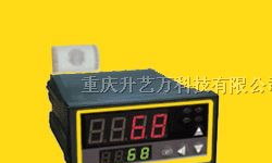 供应粮仓冷库温湿度报警器WS-L