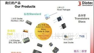 肖特基应用-SK30100CD2，D2PAK（TO-263AB）整流二极管