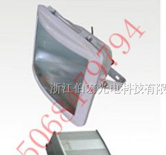 供应高质量NSE9720//防眩应急通路灯//NSE9720//