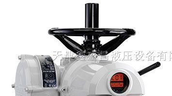 供应天津英国罗托克ROTORK电动执行器