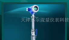 供应LDC插入式电磁流量计 电磁流量计