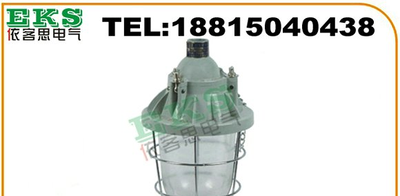 DCG52-200隔爆型防爆灯(小型)(II B)|DCG52-200