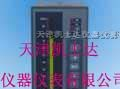 SXT智能数显表厂家规格，天津SXT系列数显表