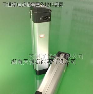 2012年特价供应低温锂电池