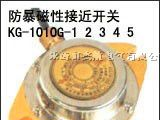 防爆磁性开关、KG1010G-1-12、KG1010G-2-12