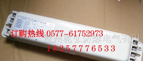 供应YK36DF×2CS防爆电子镇流器