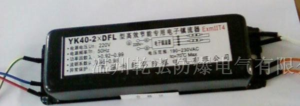 YK40-2×DFL型高效节能荧光灯单脚防爆电子镇流器