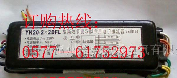 BYK20-2×2DFL型高效节能双脚专用电子镇流器