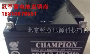 NP24A-12|蓄电池NP24A-12 12V24AH报价