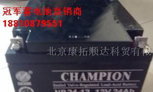 铅酸免维护蓄电池NP55-12 12V55AH/20HR