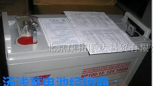 铅酸免维护汤浅蓄电池NP65-12|12V65AH