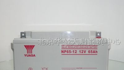 汤浅蓄电池这里 汤浅蓄电池质量有保障