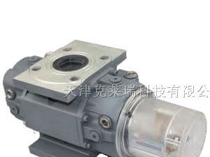 供应气体腰轮流量计，济南腰轮流量计