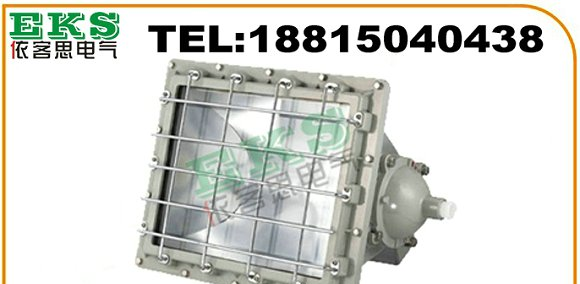 光明大师:DCT69防爆泛光灯(ⅡB、ⅡC)DCT69-L400