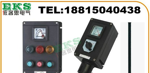 CBFK8060-A2D2L防爆控制箱，CBFK8060-A2D2K1L