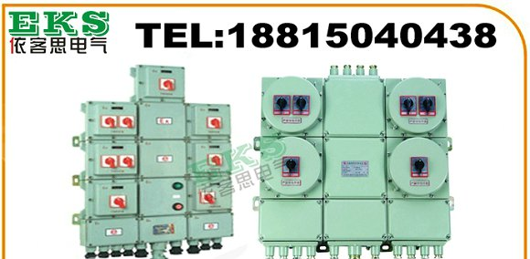 CBP53-6/32K防爆动力配电箱，CBP53-8/63K
