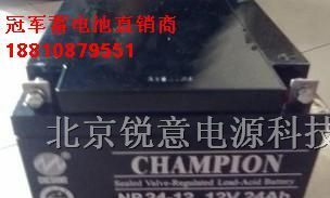 优惠价NP134-12|蓄电池NP134-12