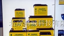 蓄电池NP38-12V【38AH12V】