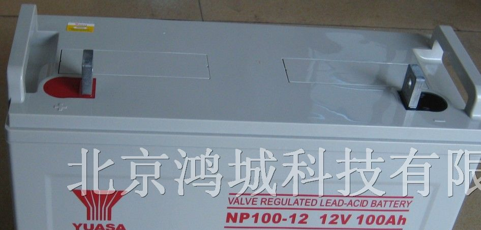汤浅蓄电池NP100-12V汤浅铅酸蓄电池100AH12V
