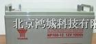 汤浅蓄电池NP100-12V汤浅铅酸蓄电池100AH12V