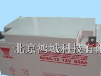 汤浅蓄电池NP65-12V汤浅铅酸蓄电池65AH12V