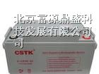 一级代理美国CSTK山特蓄电池6-GFM-7/12V7AH